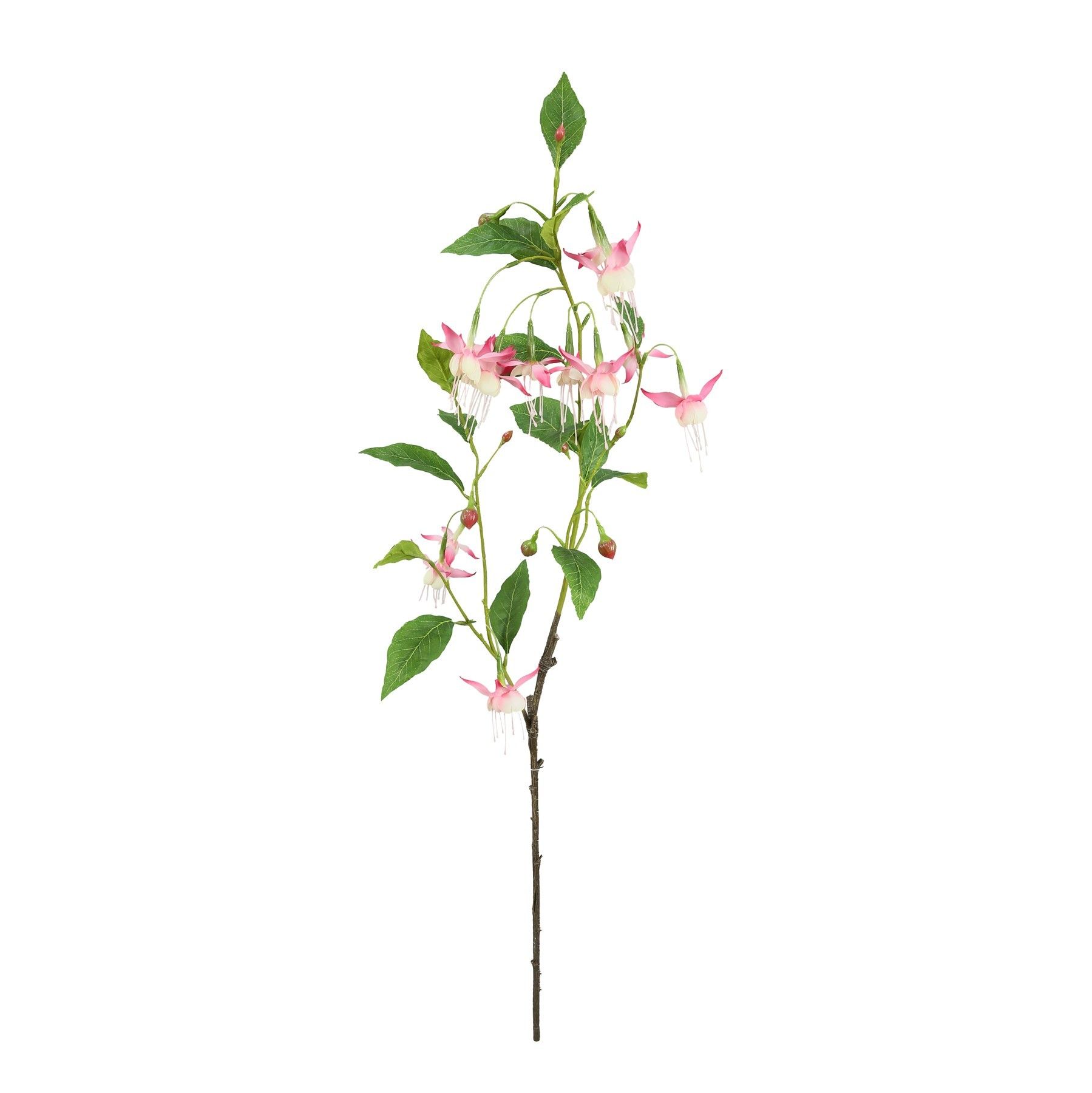 Botanica Fuchsia - Hot Pink - 99cm
