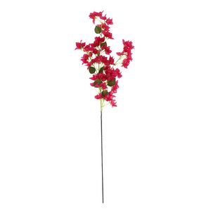 Essential Bougainvillea Spray -Pink