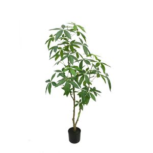 Botanica Fatsia in pot - 150cm 