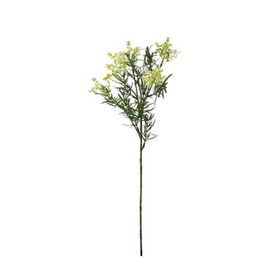 Essential Broom Bloom - White