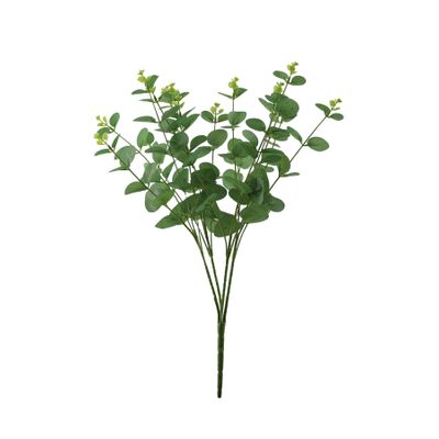 Essential Eucalyptus Bush - Green