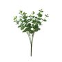 Essential Eucalyptus Bush - Green