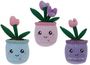 Softlings Pot Plant