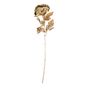 Metallic Peony - Gold