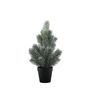 Pine Tree with Snow in Pot - 35cm