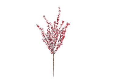 Berry Spray  - Red - 61cm