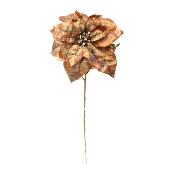 Poinsettia Stem - Golden Brown - 50cm