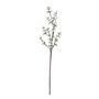Frosted White Berry Stem - 72cm