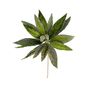 Dusted Poinsettia Stem - Green - 50cm 