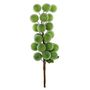 Frosted Grape Pick - Green - 25cm