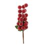 Frosted Grape Pick - Red - 25cm