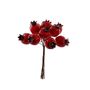 Haw Apple x 12 Pick - Red - 12cm