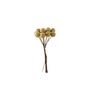 Shiny Mini Berry Bunch Pick - Gold - 10cm