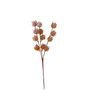 Cosy Mini Fruit Spray - Coral - 35cm