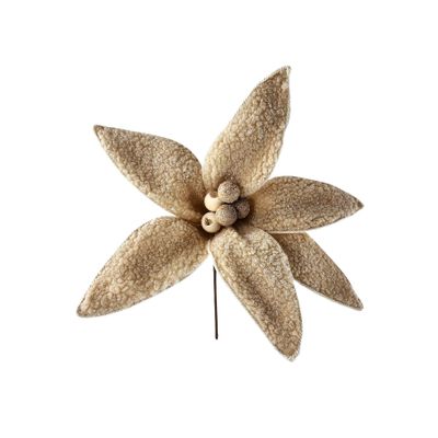 Cosy Furry Poinsettia - Cream - 28cm