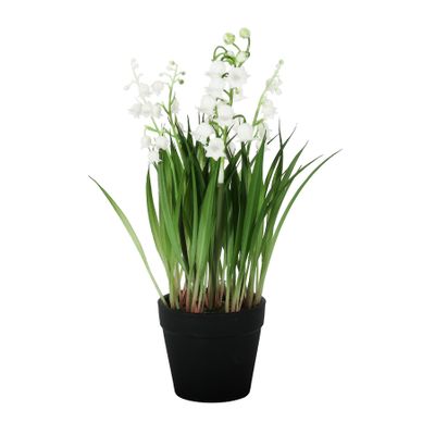 Lily of the Valley Potted  - 25cm