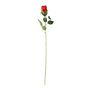 Essential Red Rose bud 