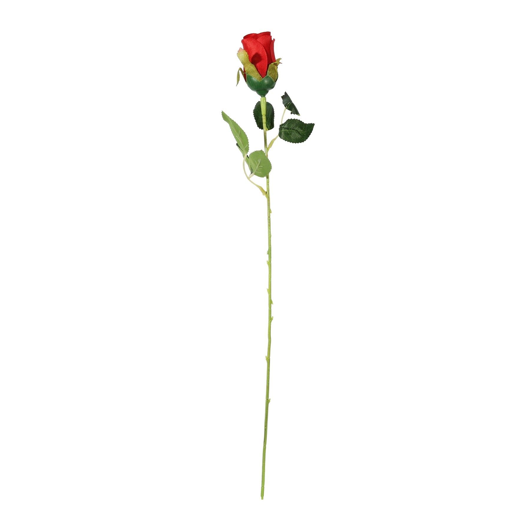 Essential Red Rose bud 