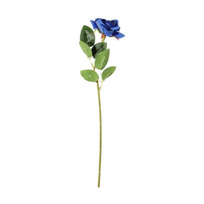 Essential Rose - Blue