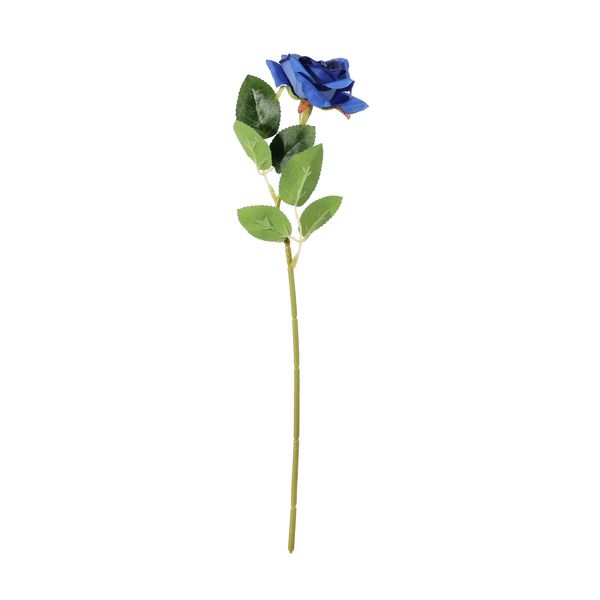 Essential Rose - Blue