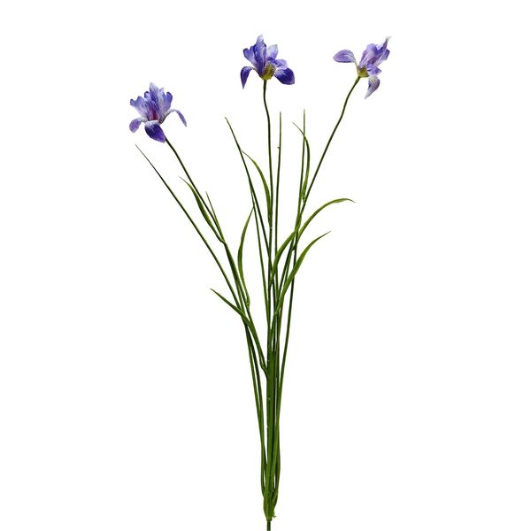 Botanica Iris - lilac/White - 71cm