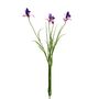 Botanica Iris - Purple/Orange - 71cm