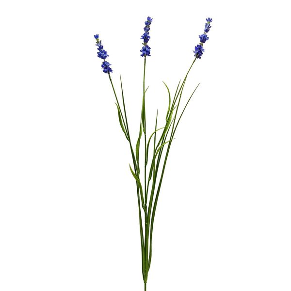 Botanica Lavender - Blue - 76cm