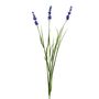 Botanica Lavender - Blue - 76cm