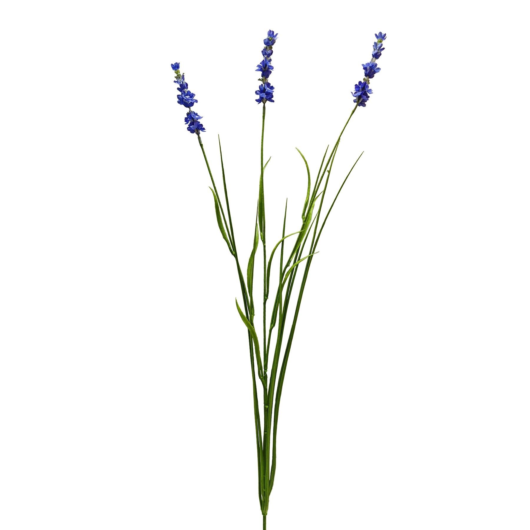 Botanica Lavender - Blue - 76cm