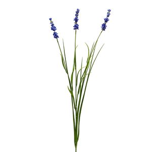 Botanica Lavender - Blue - 76cm