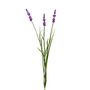 Botanica Lavender - Pink - 76cm