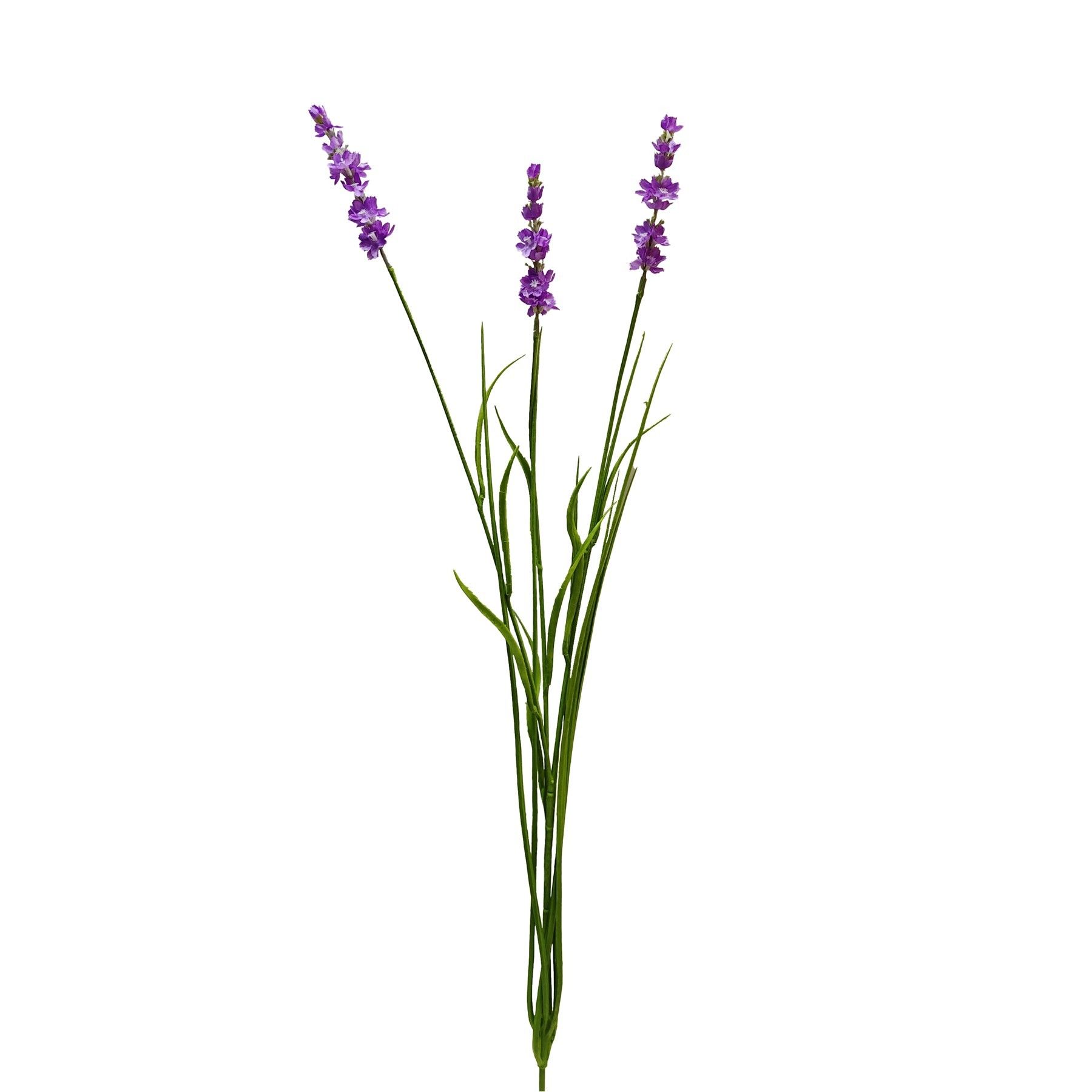 Botanica Lavender - Pink - 76cm