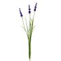Botanica Lavender - Purple - 76cm