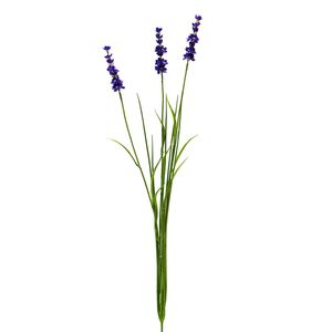 Botanica Lavender - Purple - 76cm