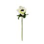 Botanica  Small Anenome - Cream - 42cm