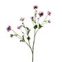Botanica Anemone Spray -Purple -111cm