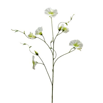 Botanica Liseron - Cream - 107cm