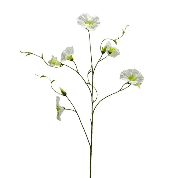 Botanica Liseron - Cream - 107cm