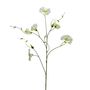 Botanica Liseron - Cream - 107cm