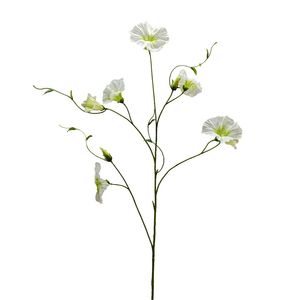 Botanica Liseron - Cream - 107cm