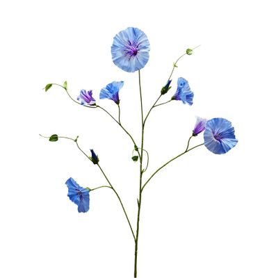 Botanica Liseron - Blue/Purple - 107cm