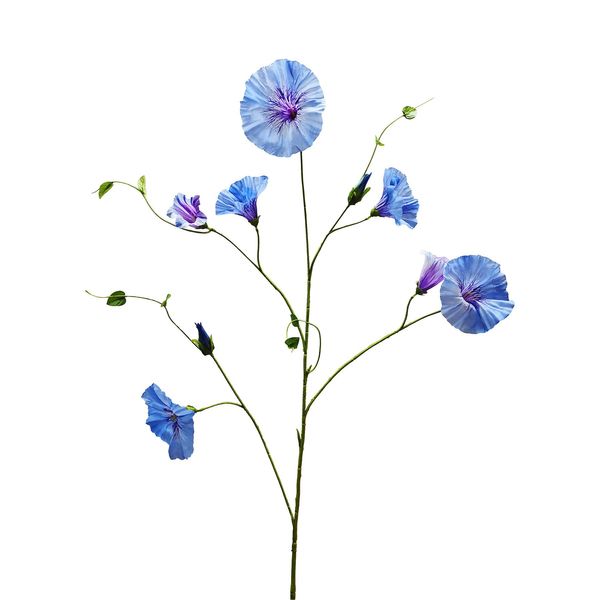 Botanica Liseron - Blue/Purple - 107cm
