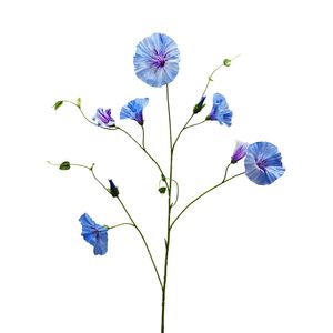 Botanica Liseron - Blue/Purple - 107cm