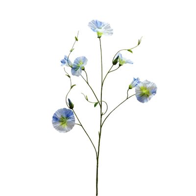 Botanica Liseron - Blue/Green - 107cm