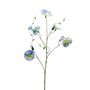 Botanica Liseron - Blue/Green - 107cm