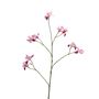 Botanica Iris Spray - Pink - 105cm