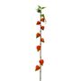 Botanica  Single Houzouki - Orange - 91cm