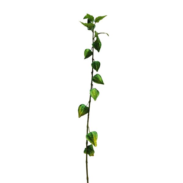 Botanica  Single Houzouki - Green - 91cm