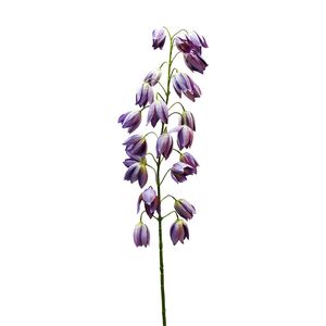 Botanica Shirui Lily- Purple -102cm