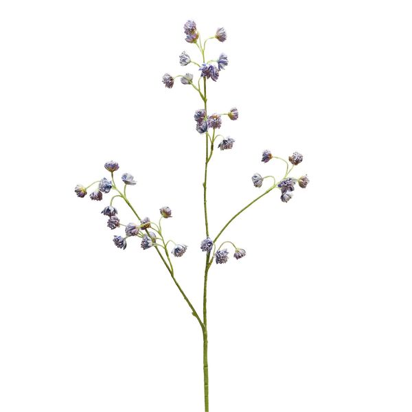 Botanica Astrantia Spray - Lilac - 84cm